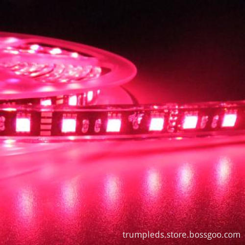 SMD5050 Water-proof LED Strip Lighting rgb with antistatic package
